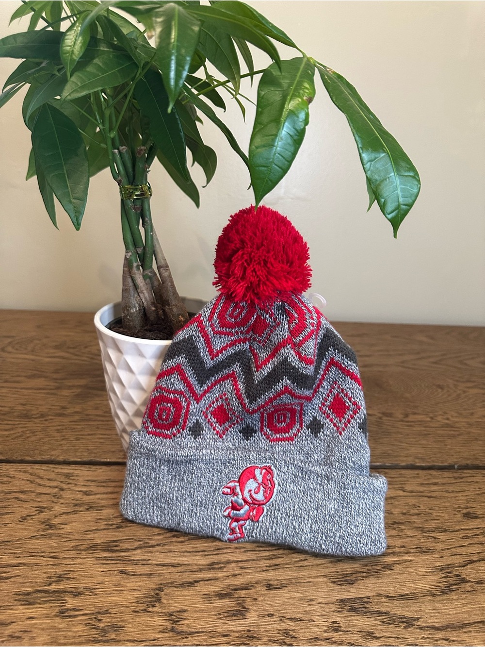 Adult Ohio State Scarlet and Gray Pom Beanie Hat with Embroidered Brutus